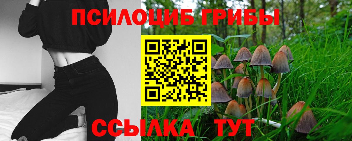 Галлюциногенные грибы Psilocybe  Вход с VPN  Хабаровск 